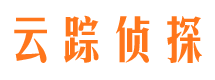 双城市调查公司